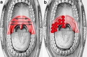 Throat